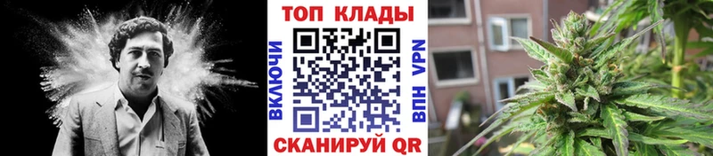  COCAIN Зея