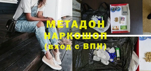 прущие грибы Алексеевка