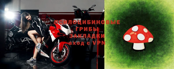 прущая мука Арсеньев