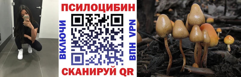 Купить закладки  Зея  Галлюциногенные грибы ЛСД 